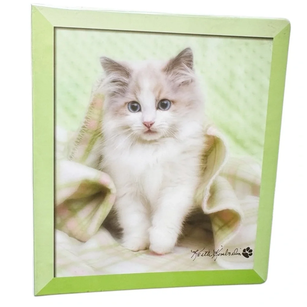 Class Act Keith Kimberlin Y2K Pastel Kitten Binders - Set of 3